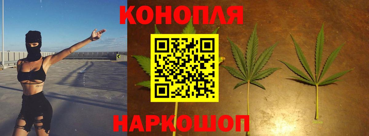 Бошки Шишки гибрид Мелеуз